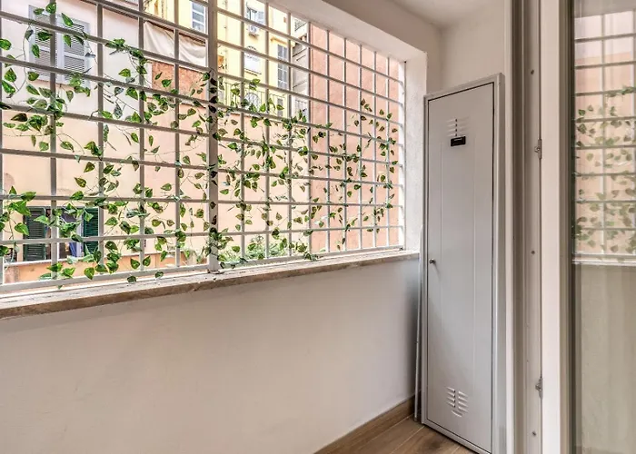 Maison Carrozze *